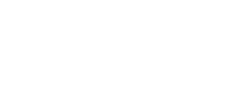 Bastion_Insights_Logo-white